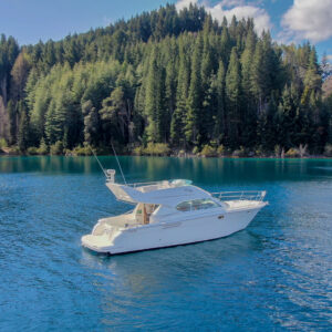 CRUCERO GENESIS 390 2001