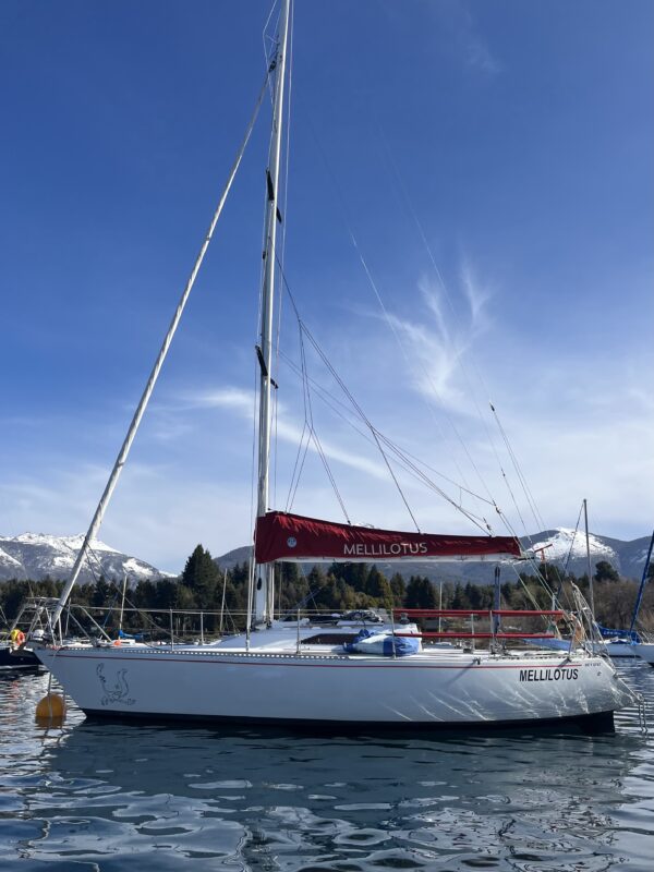 Velero Holland 30
