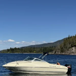 QUIKSILVER 2002 CUDDY (2009)