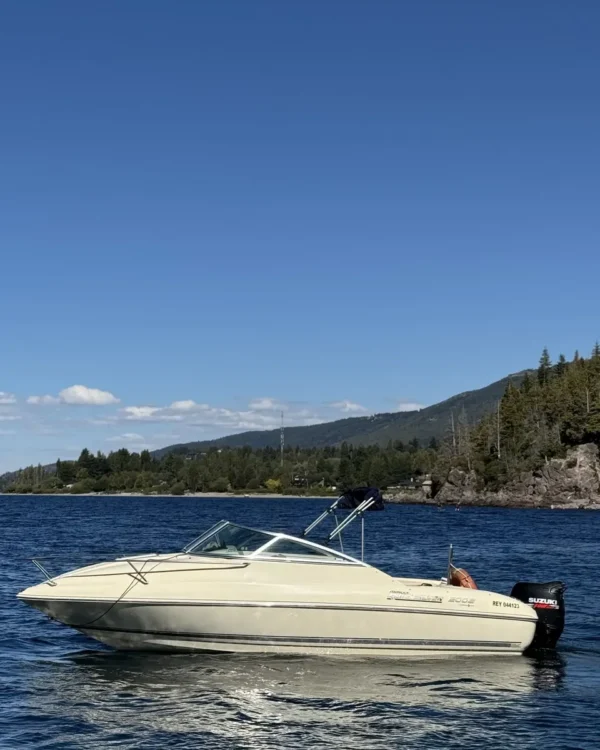 QUIKSILVER 2002 CUDDY (2009)